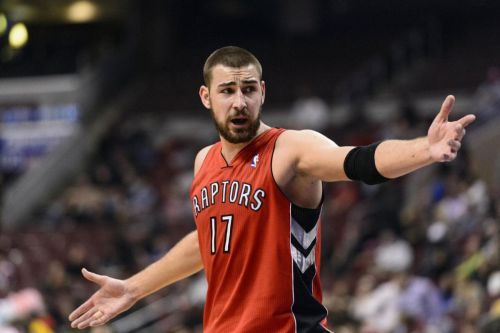 观赏性和实 观赏性和实