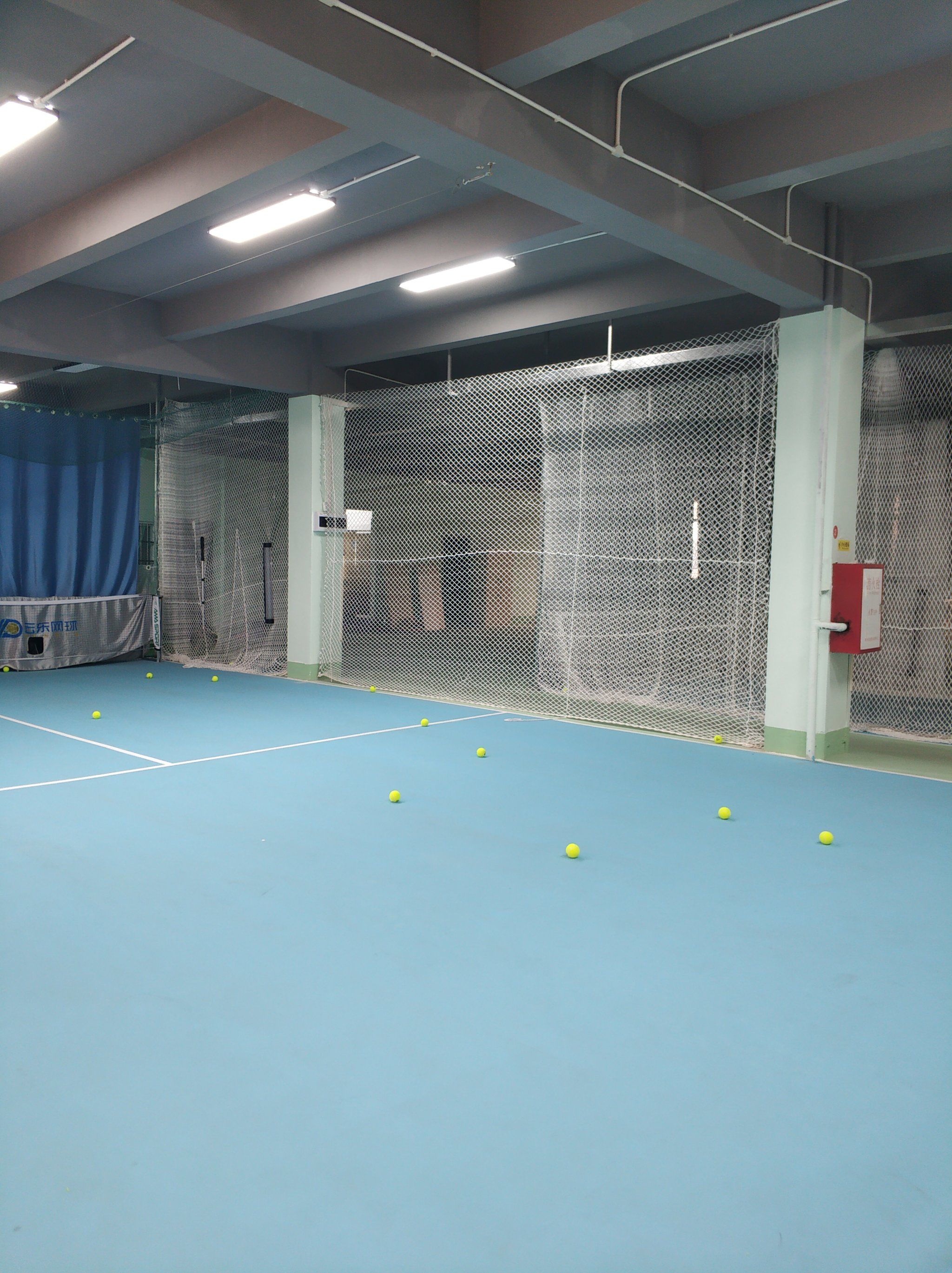 球员成长曲 球员成长曲